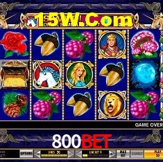 Sistemas de Segurança 800Bet
