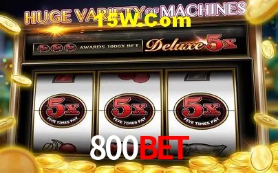 800Bet - User Statistics